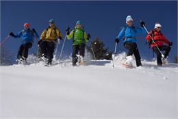 Raquette avec les AEM - Snam