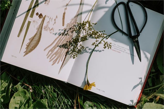 Atelier Altec (6-8 ans) - A la découverte des plantes et des herbiers_Bourg-en-Bresse - Pexels