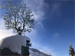 Visite guidée : l'art au sommet à Courchevel, exposition culturelle à ciel ouvert - DD/FACIM