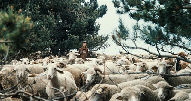 Ciné nature : Une journée, un berger_Chambéry - Le Clos Productions
