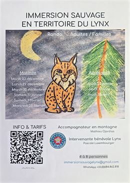 Immersion sauvage en territoire du Lynx_Haut Valromey - Immersion sauvage