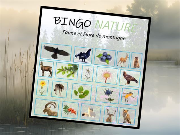 Bingo Nature - RNR