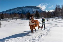 Photo de ski joering - Savoie Nordic