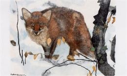 Exposition de la galerie de la Tine  - Robert Hainard_Troistorrents