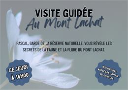 Visite de l'exposition Détails du vivant au Lachat_Crest-Voland - Office de Tourisme de Crest-Voland