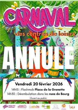 Affiche ANNULATION CARNAVAL - ©Terre en couleurs