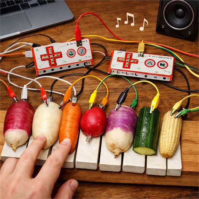 Muséolab “Des sons de Notre-Dame au concert du potager – Le cri du navet” [dès 9 ans]_Bourg-en-Bress