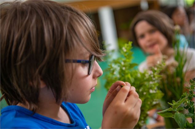 Centre horticole atelier découverte - Ville d'Annecy
