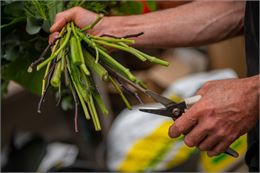 Atelier pratique : création d'une décoration de Pâques_Annecy - Ville d'Annecy