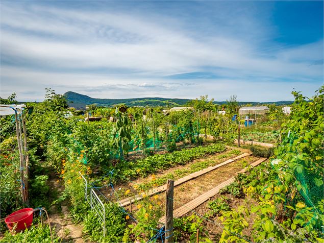 Atelier pratique : faire son jardin de A à Z_Annecy - Ville d'Annecy