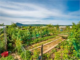 Atelier pratique : faire son jardin de A à Z_Annecy - Ville d'Annecy