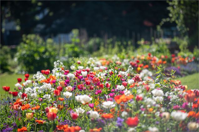 Atelier pratique : faire son jardin de A à Z_Annecy - Ville d'Annecy