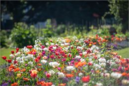 Atelier pratique : faire son jardin de A à Z_Annecy - Ville d'Annecy