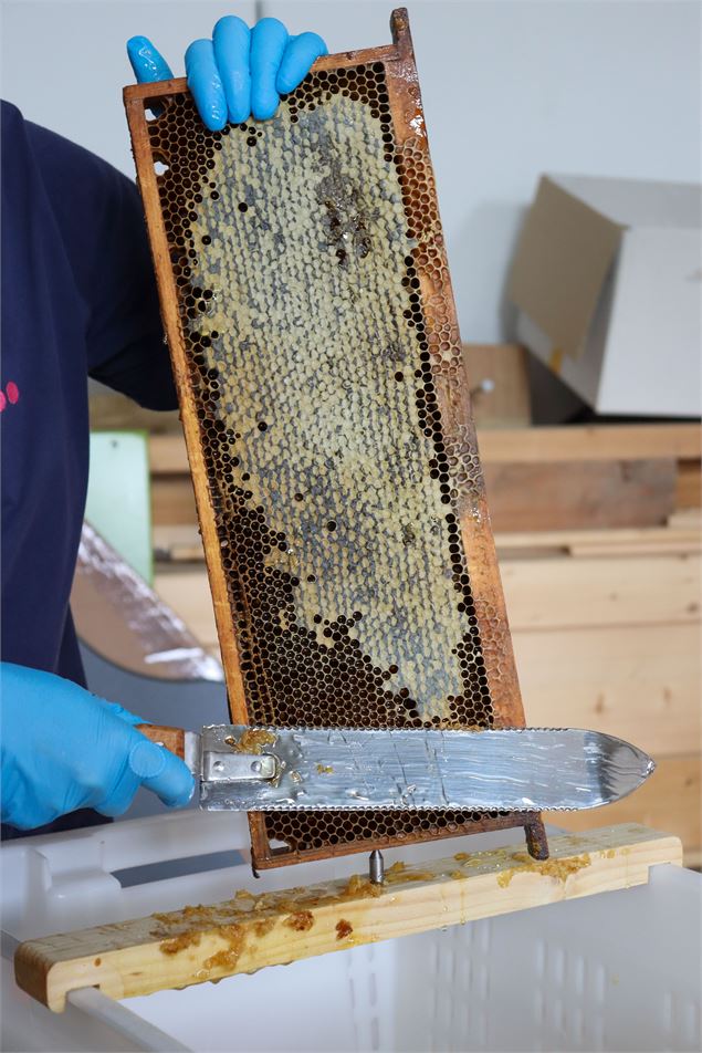 Atelier découverte : la miellée_Annecy - Ville d'Annecy