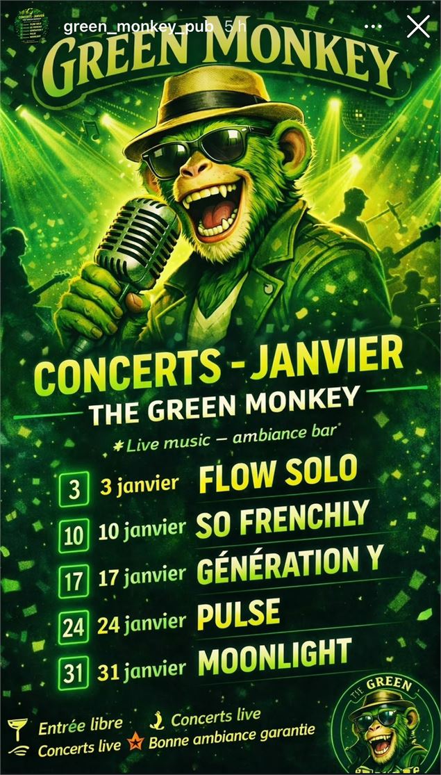 Concerts Live en janvier au Green Monkey Pub