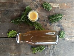 Les vertus de nos forêts