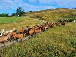 De la terre à l'assiette - PAYSALP
