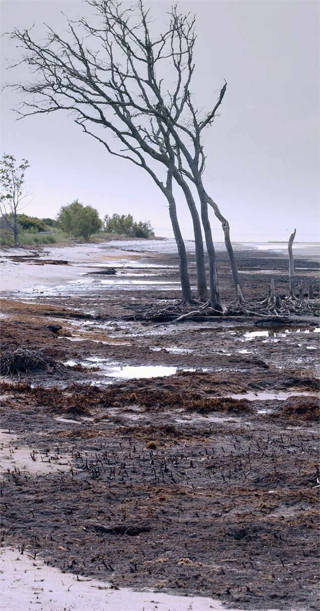 Dans le décor de Écho minéral - © Magali Dougados