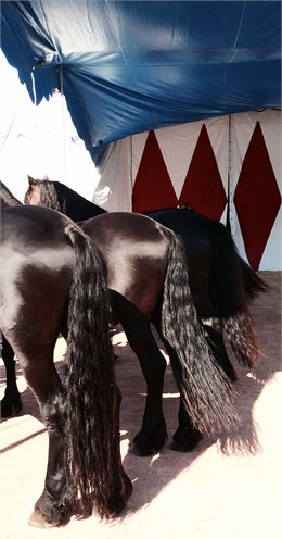 La couleur des choses - © Magali Dougados