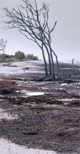 Dans le décor de La couleur des choses - © Magali Dougados