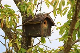 Animation nature - Pixabay_manfredrichter