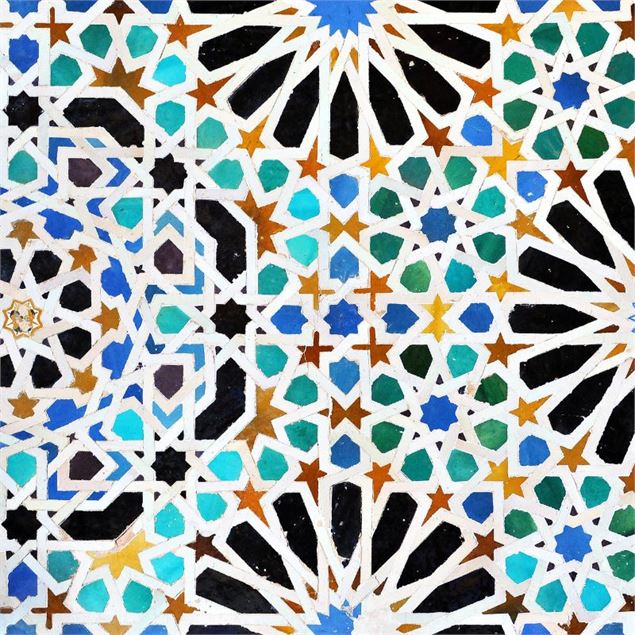 Un monde pavé de surprises (Michelle Bucher, UNIGE)