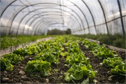 Atelier pratique : faire son jardin de A à Z_Annecy - Ville d'Annecy