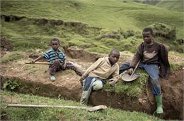 image du film - Next Film distribution