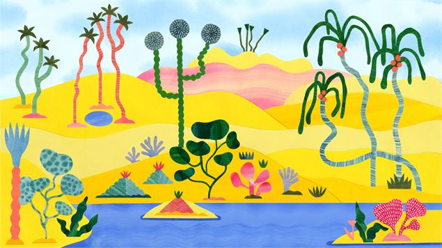 image du film - Cinéma Public Films