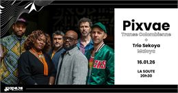 Pixvae + Trio Sekoya-Concert à La Soute