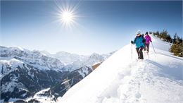 Randonnée en raquettes | La Pointe de l'Au_Morgins