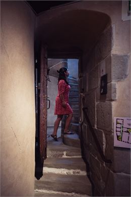 Annecy, Ville d'art et d'histoire. Dans le Palais de l'Île - Clément Sirieys