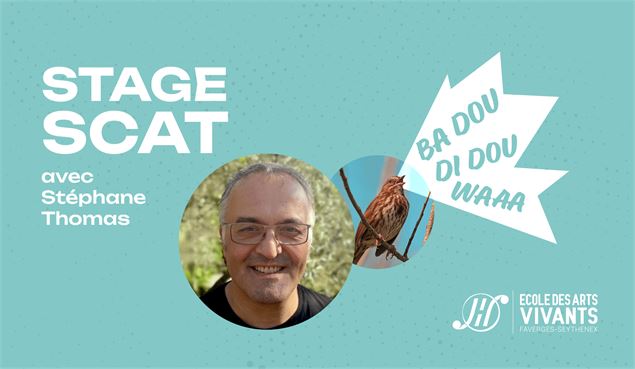 Stage SCAT_Faverges-Seythenex - Ecole des Arts vivants