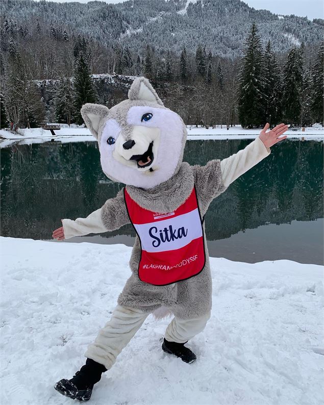 Sitka, mascotte de la Grande Odyssée - LGO