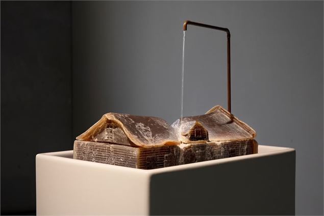 Exposition : Pelouse interdite x Flo Kasearu_Annemasse - © Flo Kasearu