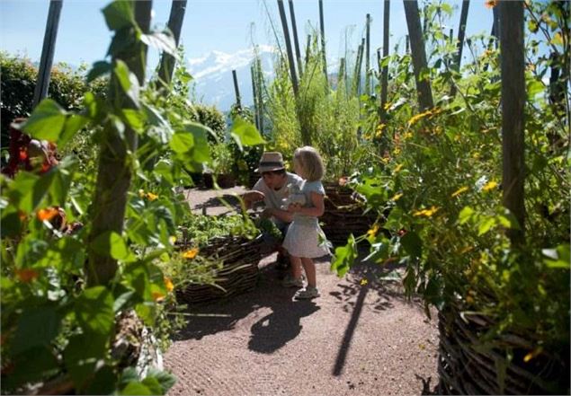 Visite guidée du Jardin des Cimes_Passy