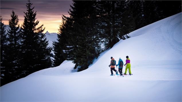 Balade en raquettes & repas pour les amoureux_Champéry