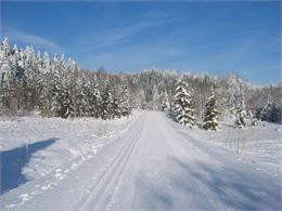 Corma by night - OT PH