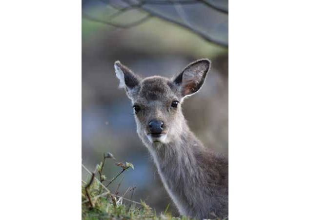 Exposition photos de Georges Reychler & Manon Riccadonna_Hautecour - Manon Riccadonna