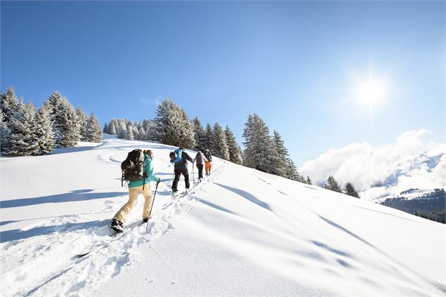Sortie en ski de randonnée | Dent de Valerette