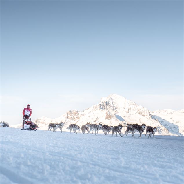 Un attelage passe devant la Dent Parrachée - J.Cathala - OTHMV