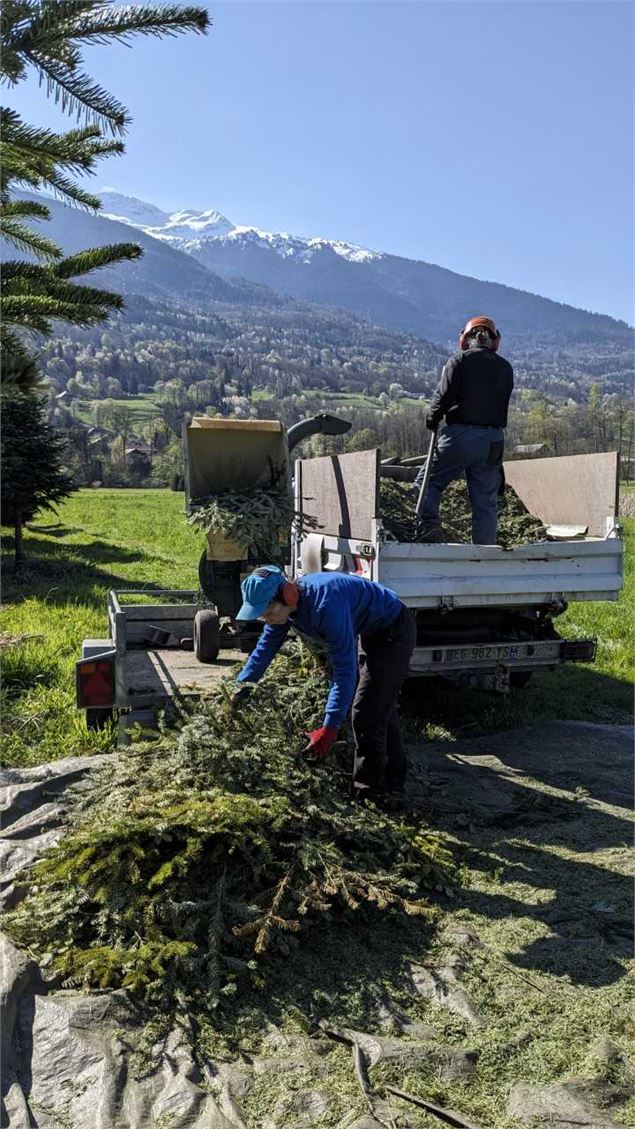 Les sens des Alpes : visite du lieu de production d'huiles essentielles_Sainte-Hélène-sur-Isère