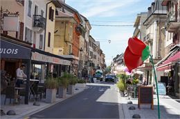 Visite guidée du centre ville d'Albertville_Albertville