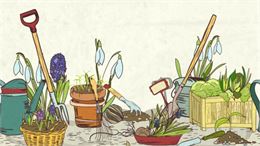 pots, matériels jardinage, plantes - canva