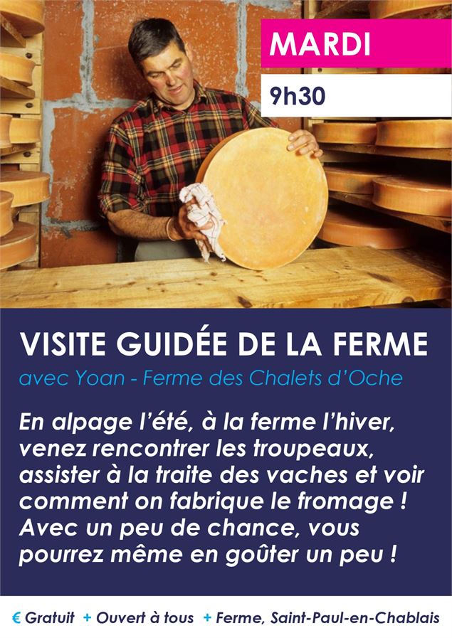 Affiche de l'animation - Bernex Mairie