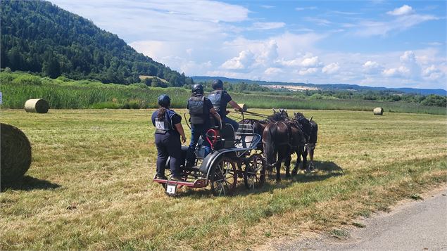 photo - Plateau d'Hauteville