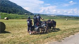 photo - Plateau d'Hauteville