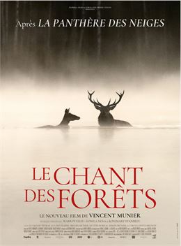 "Le chant des forêts" - ULM Cinéma