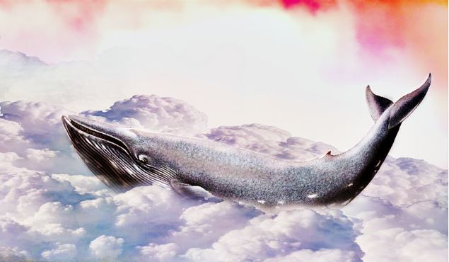 Des baleines dans le Léman - Pixabay