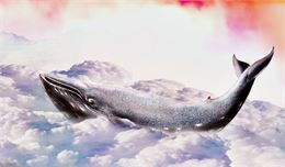 Des baleines dans le Léman - Pixabay